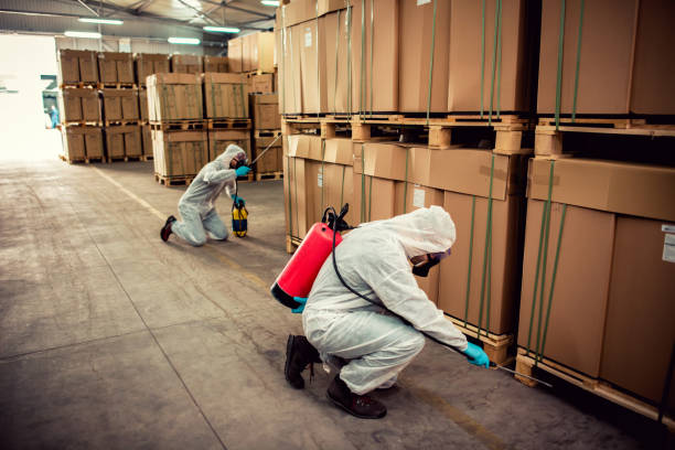 Best Termite Control Services  in Ocala Estates, FL