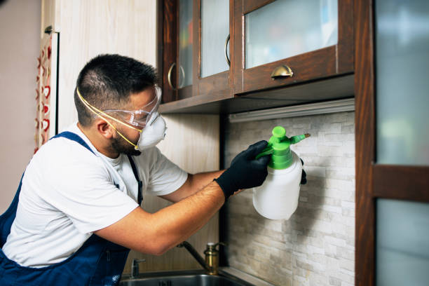 Best Pest Inspection Near Me  in Ocala Estates, FL