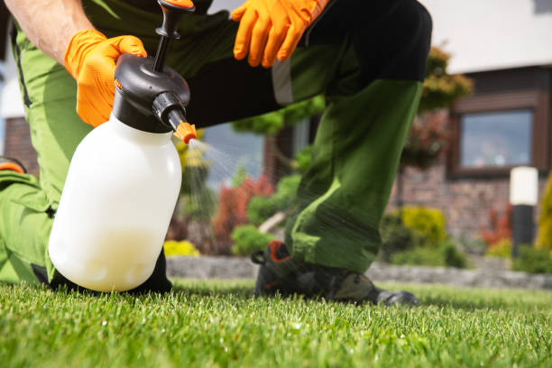 Best Wasp Removal Services  in Ocala Estates, FL