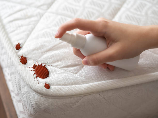 Best Affordable Pest Control Services  in Ocala Estates, FL