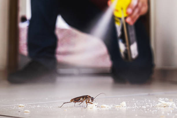 Pest Prevention Services in Ocala Estates, FL